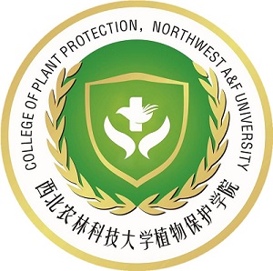 院徽无厕所偷拍
二字.jpg