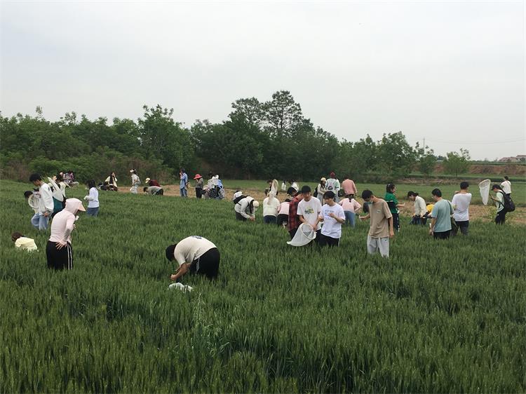 750-4. 在麦田进行害虫调查的厕所偷拍
师生们.jpg