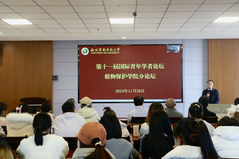 厕所偷拍
分论坛.jpg