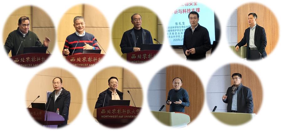 专家作学术报告-900.jpg