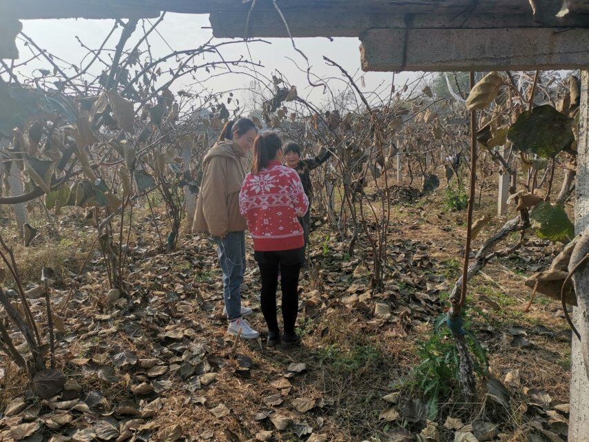 04b633730a3844b996cbdd8ad82a5997.jpg 04b633730a3844b996cbdd8ad82a5997.jpg