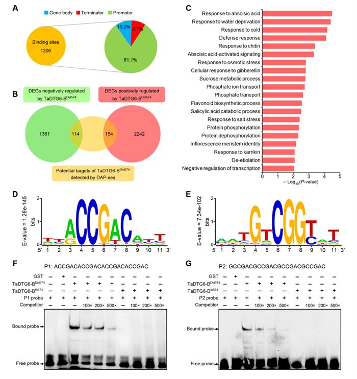 28b9337ec2cc48b88f39a9aea859c448.jpg 图片3-700.jpg
