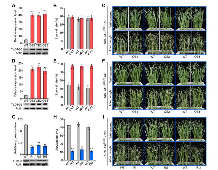 7f51485f1fd94aaca7f5f5658e5bf914.jpg 图片2-700.jpg