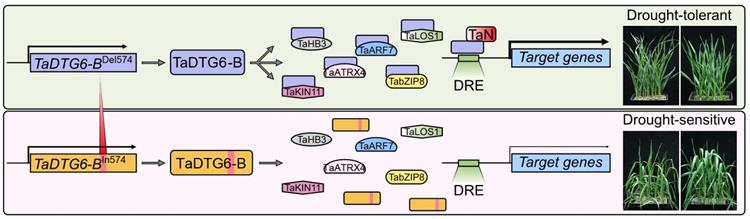 9b08dd9032e445c8826493f511d83bfc.jpg 图片4-750.jpg