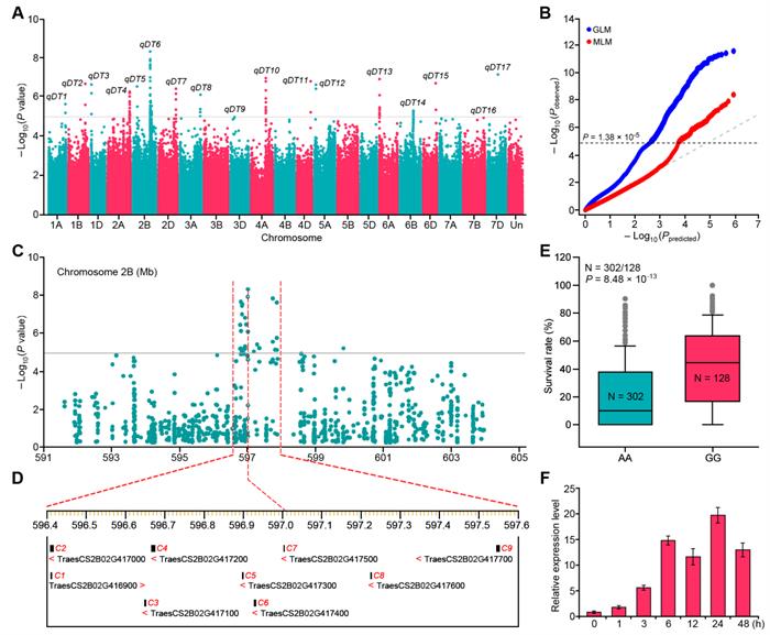 c224fc4faa5b4800accb2805bacdd463.jpg 图片1-700.jpg