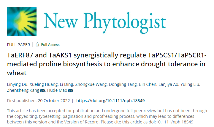 649753959d924b53a677a28eaf55ec80.png 期刊图片.png