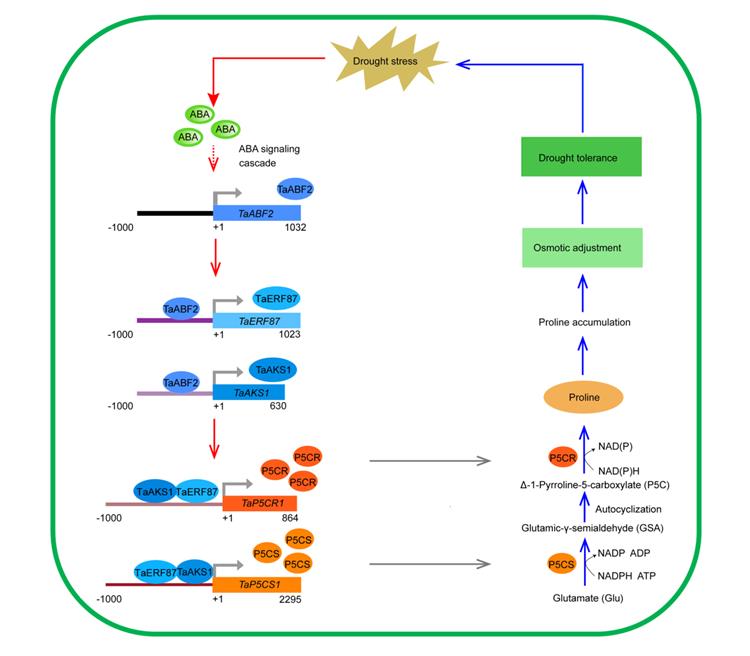 8a49fad3edda4b7aaceabecca2cc7d71.jpg 模式图片-750.jpg